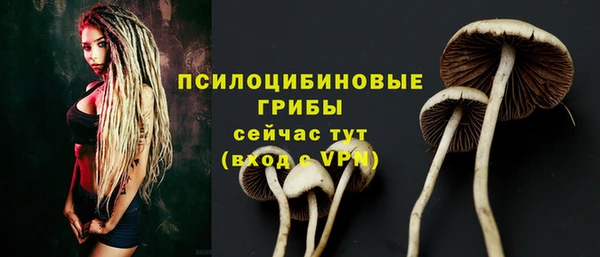 амф Корсаков