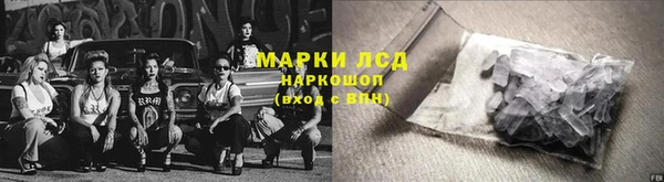амф Корсаков
