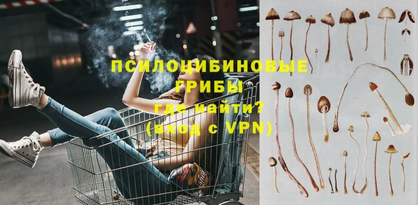 скорость Коряжма