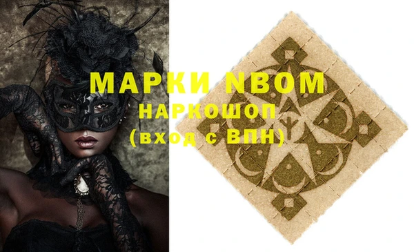 амф Корсаков