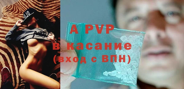 амф Корсаков